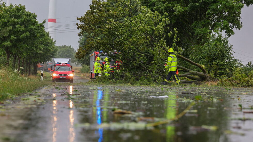 Kameraden der Feuerwehr beim Wegräumen der umgestürzten Bäume auf der Straße zwischen A  4 und St. Egidien 