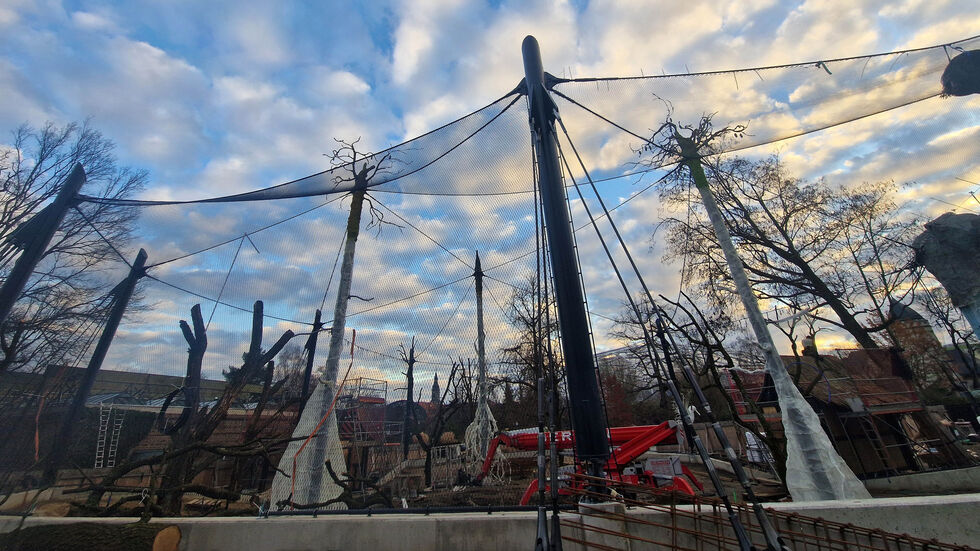 Hier entstehen die neuen, begehbaren Großvolieren im Zoo Leipzig. Sie sollen im Frühjahr eröffnen.