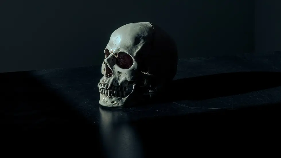 So ein Menschenschädel wurde gefunden (Symbolbild).