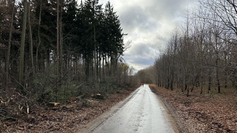 Blick Richtung Schneppendorf Blick Richtung Schneppendorf