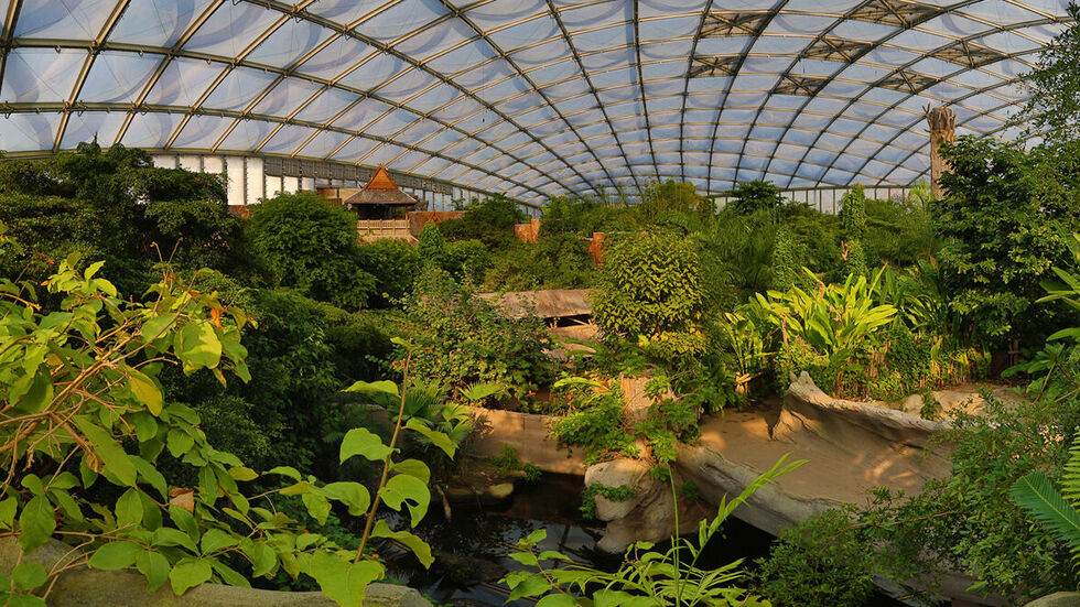 Das Gondwana-Land im Zoo Leipzig bleibt wegen der nachgewiesenen Vogelgrippe bei einem Tier geschlossen.