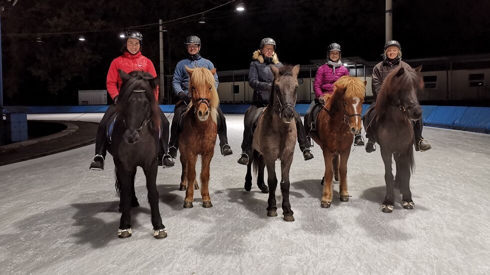 Islandpferde auf dem Eis (Archiv) Islandpferde auf dem Eis (Archiv)