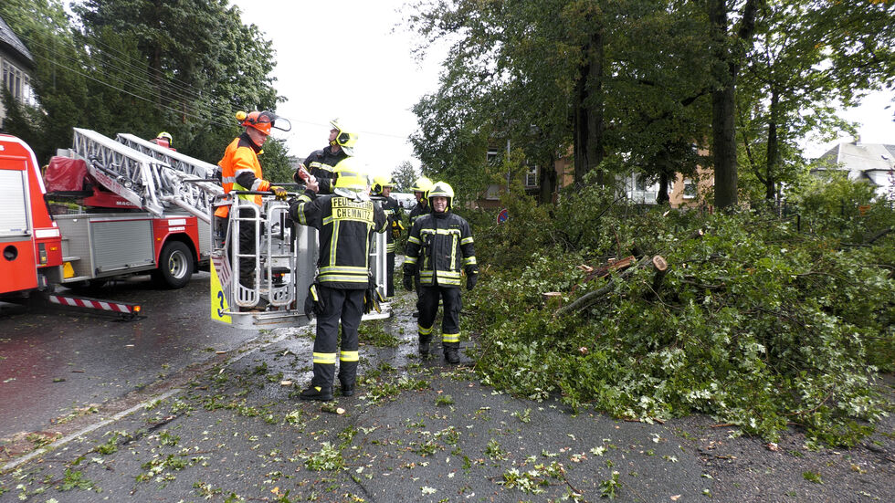 Die Feuerwehr musste auch mehrere umgestürzte Bäume beseitigen.