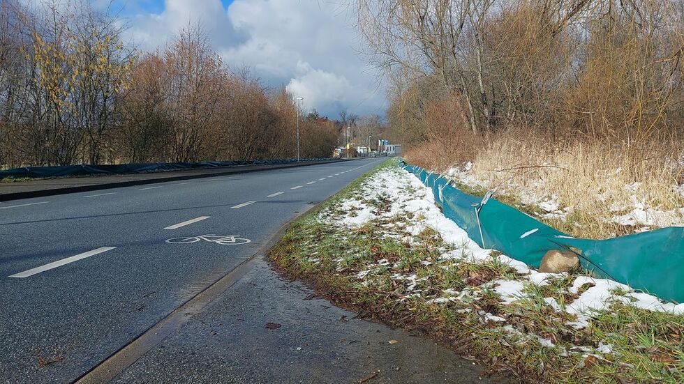 Ein Krötenschutzzaun, wie hier an der Straße am Löbauer Berg soll ausreichend Schutz für die Tiere bieten. 