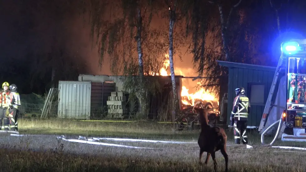 Das Feuer verbrannte vor den Augen des Ziegenbocks.