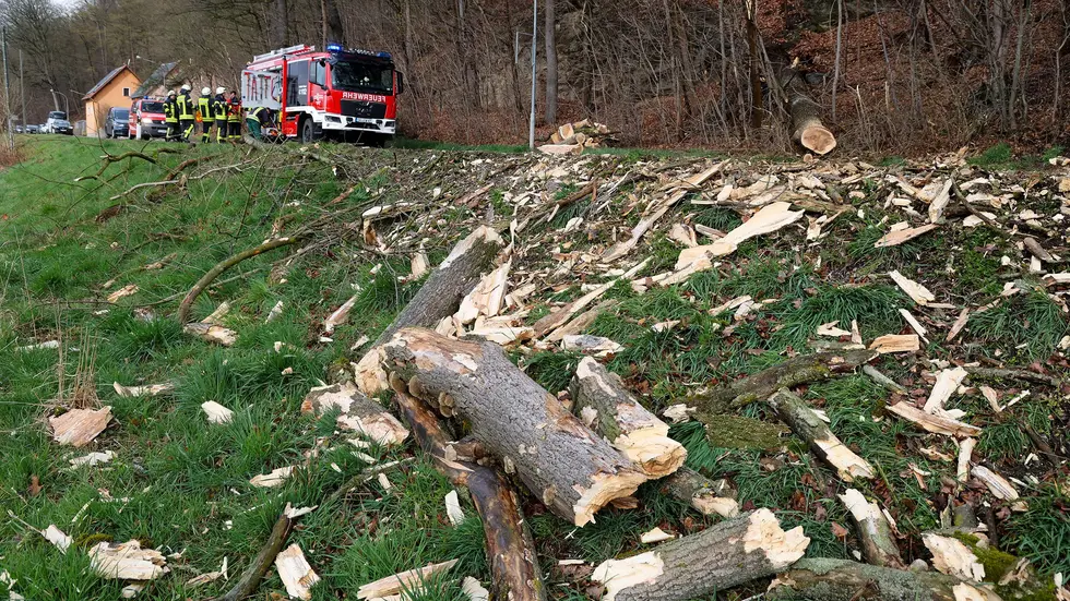 Der Einsatzort, nachdem das Gröbste erst einmal beseitigt war. Der Einsatzort, nachdem das Gröbste erst einmal beseitigt war.