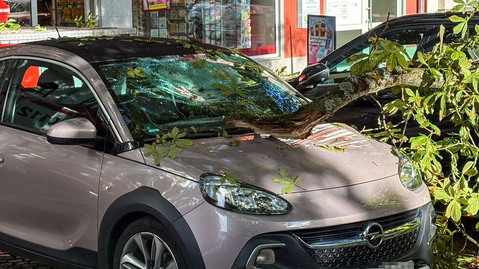 Der dicke Ast zerstörte bei einem Opel die Frontscheibe. Der dicke Ast zerstörte bei einem Opel die Frontscheibe.