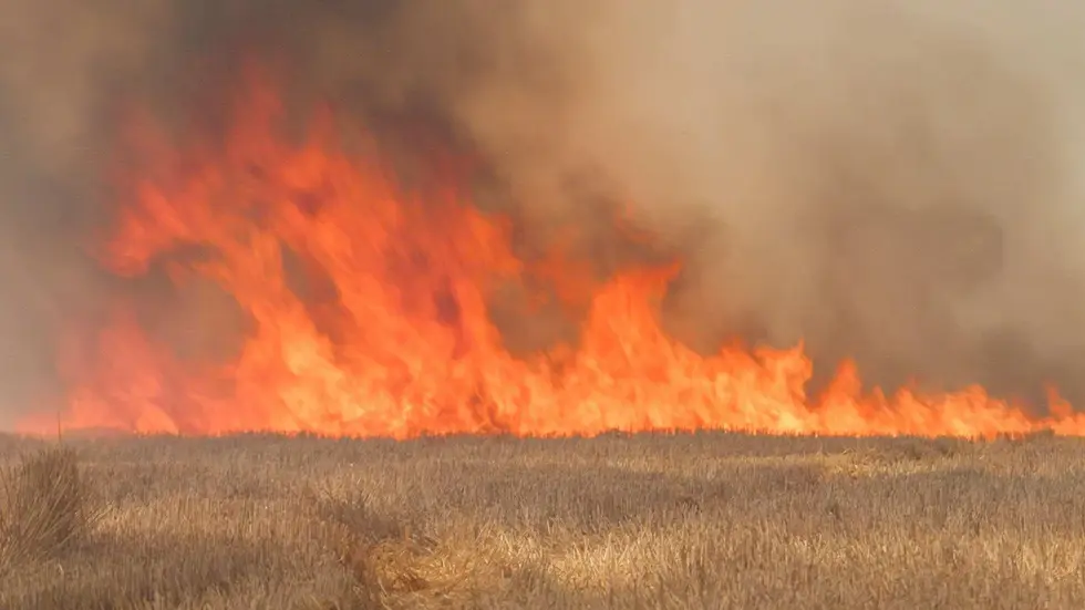Die Flammen verwandelten sich wegen dem trockenen Boden in eine regelrechte Feuerwalze, berichten Augenzeugen. Die Flammen verwandelten sich wegen dem trockenen Boden in eine regelrechte Feuerwalze, berichten Augenzeugen.