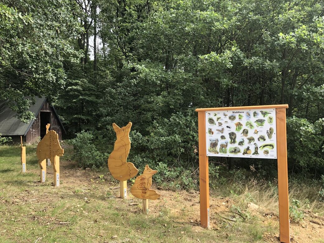 An Station 9 gibt es einen Überblick über die Waldtiere und einen Aussichtspunkt über Geißmannsdorf Pickau und Bischofswerda.