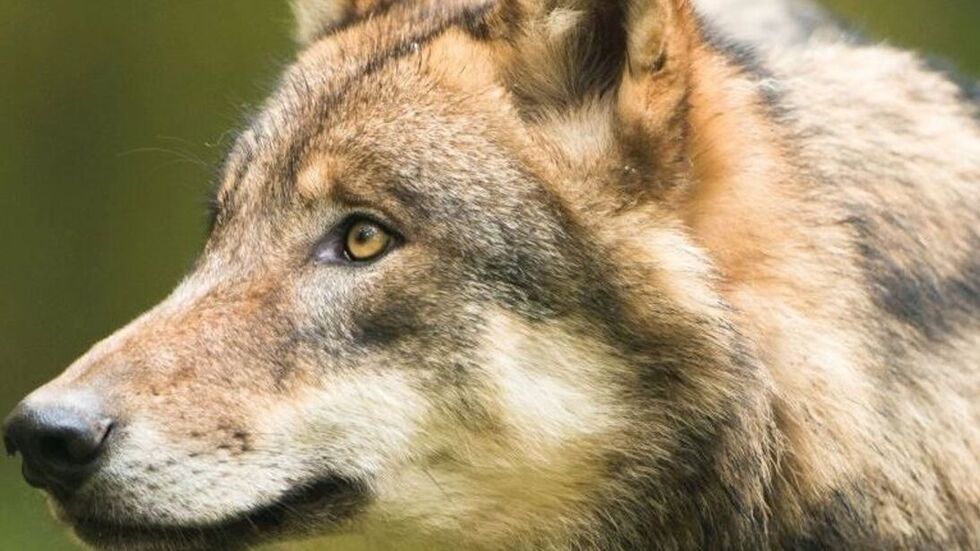 Symbolbild Symbolbild