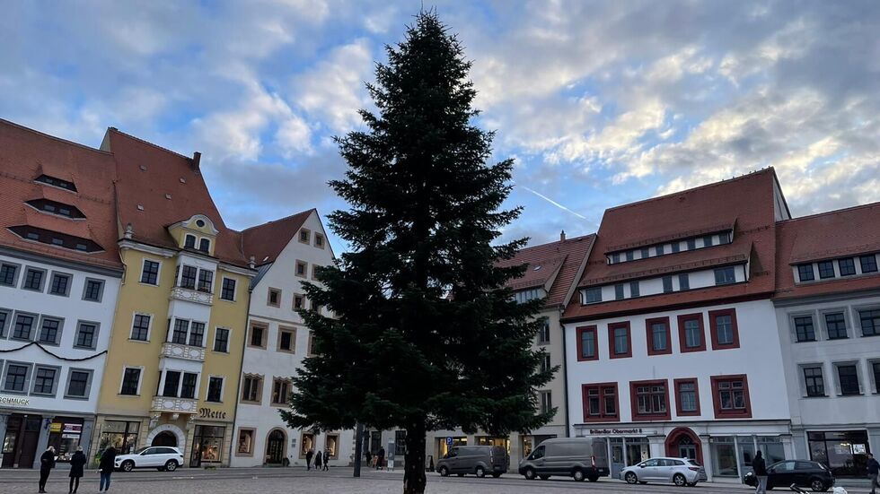 Seit Montag steht der Weihnachtsbaum auf dem Freiberger Obermarkt.