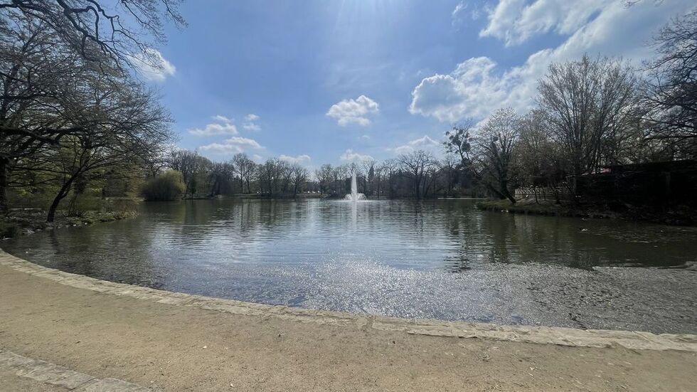 Der Carolasee im Großen Garten. Schon bald sollen hier wieder die Boote schippern.