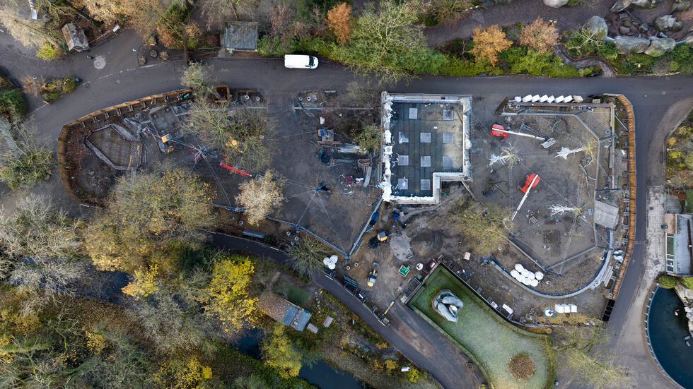 So sehen die neuen Großvolieren für Papageien aktuell von oben aus.