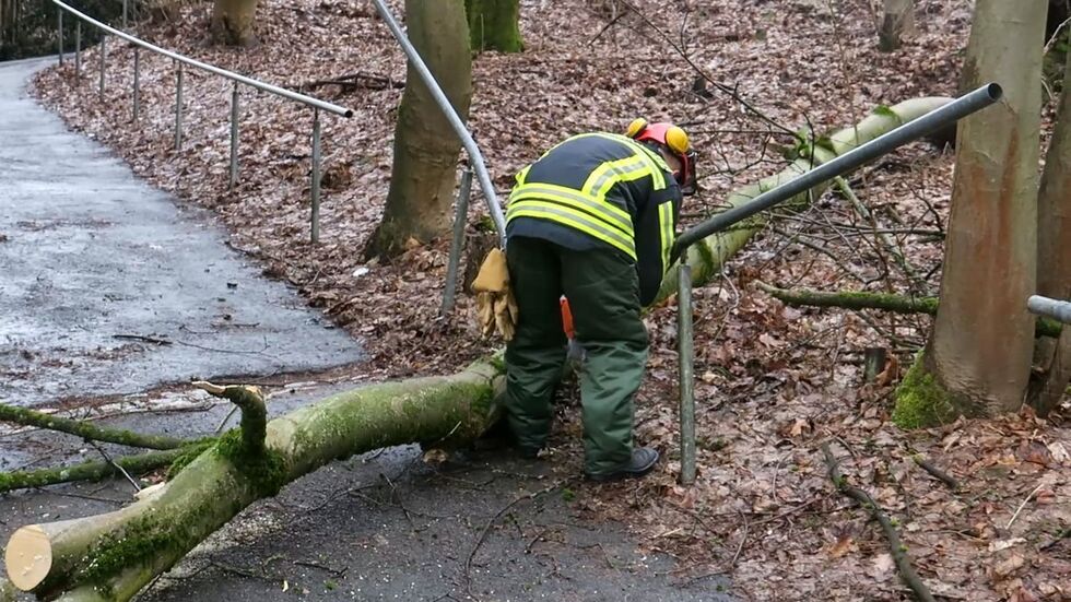 Die Feuerwehr räumte den Fußweg wieder frei und zerlegte den umgeknickten Baum.