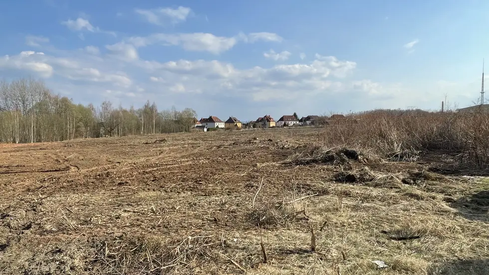 Blick von der Straße zum Busdepot in Richtung Reuterweg - es wurde bereits abgeholzt Blick von der Straße zum Busdepot in Richtung Reuterweg - es wurde bereits abgeholzt