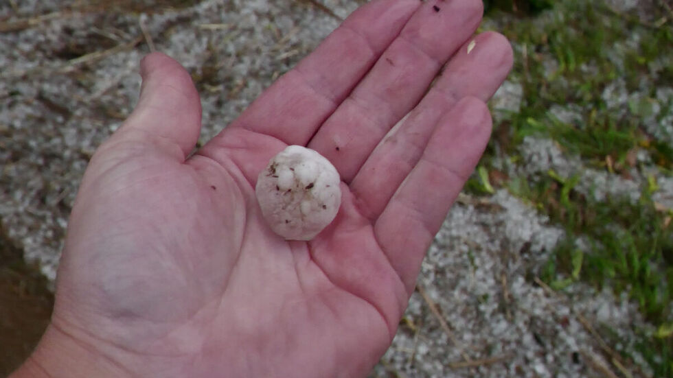 Die Hagelkörner waren zum Teil so groß wie Tischtennisbälle.