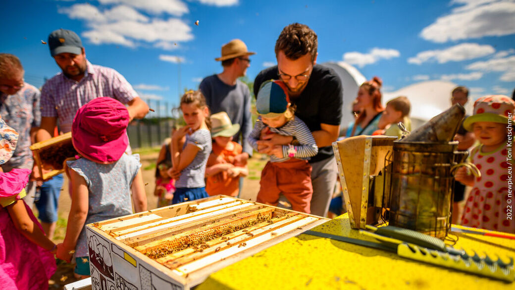 Der Palais Sommer auf dem Ostra-Dome.