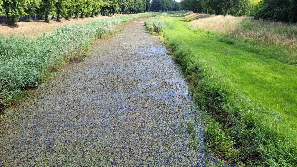 Die Schwarze Elster bei Elsterwerda