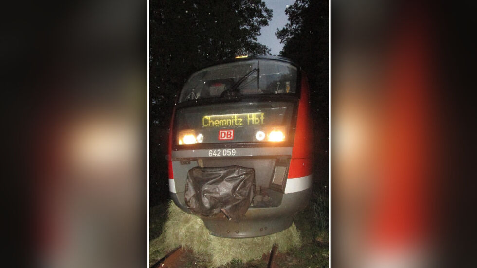 Durch den Aufprall wurde der Triebwagen beschädigt.