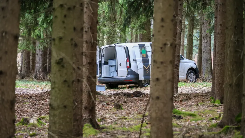 In einem Wald in Wildbach wurde der verlassene Kleintransporter aufgefunden. In einem Wald in Wildbach wurde der verlassene Kleintransporter aufgefunden.