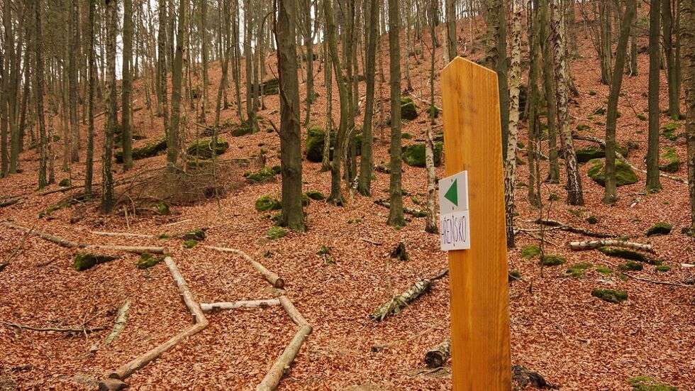 Baumstämme deuten den neuen Weg schon an, sie werden die Wegbegrenzung bilden