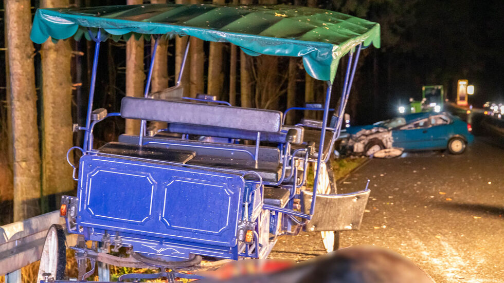 Drama im Erzgebirge: Auf der Straße zwischen Sayda und Niederseiffenbach prallt ein Auto frontal mit einer Pferdekutsche zusammen – sechs Verletzte, ein Pferd tot, Straße stundenlang gesperrt. Drama im Erzgebirge: Auf der Straße zwischen Sayda und Niederseiffenbach prallt ein Auto frontal mit einer Pferdekutsche zusammen – sechs Verletzte, ein Pferd tot, Straße stundenlang gesperrt.