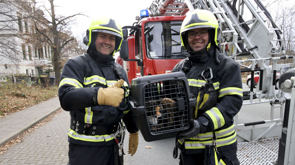 Die Feuerwehrleute sind zufrieden - und die Katze fühlt sich wieder pudelwohl. Die Feuerwehrleute sind zufrieden - und die Katze fühlt sich wieder pudelwohl.
