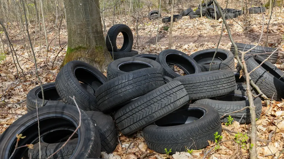 Über 100 Altreifen wurden im Wald entsorgt.