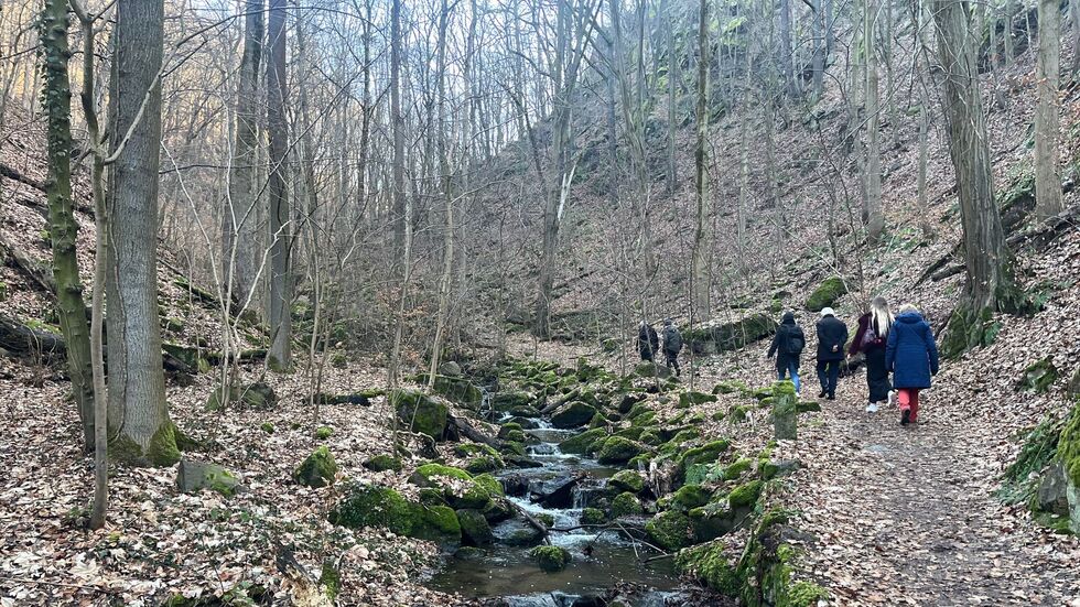 Idyllisch am Bach gelegen, führt der Weg zur alten Keppmühle. Wanderer nutzen ihn trotz des Verbotes