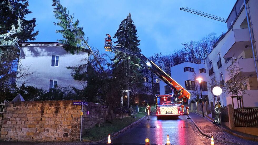 An der Gitterseestraße/Pestitzer Straße kippte der Sturm eine Fichte auf ein Wohnhaus
