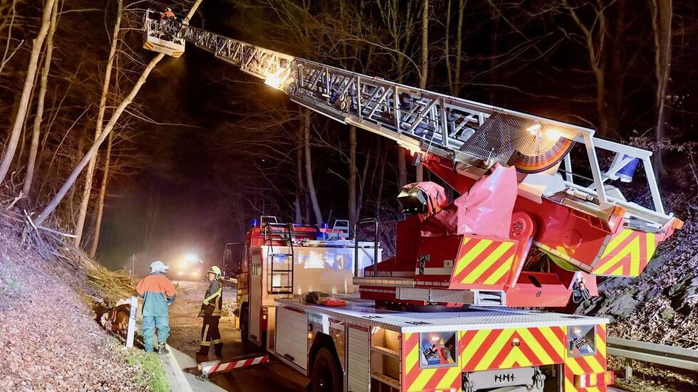 Mit der Drehleiter wurden die Bäume von oben abgetragen.