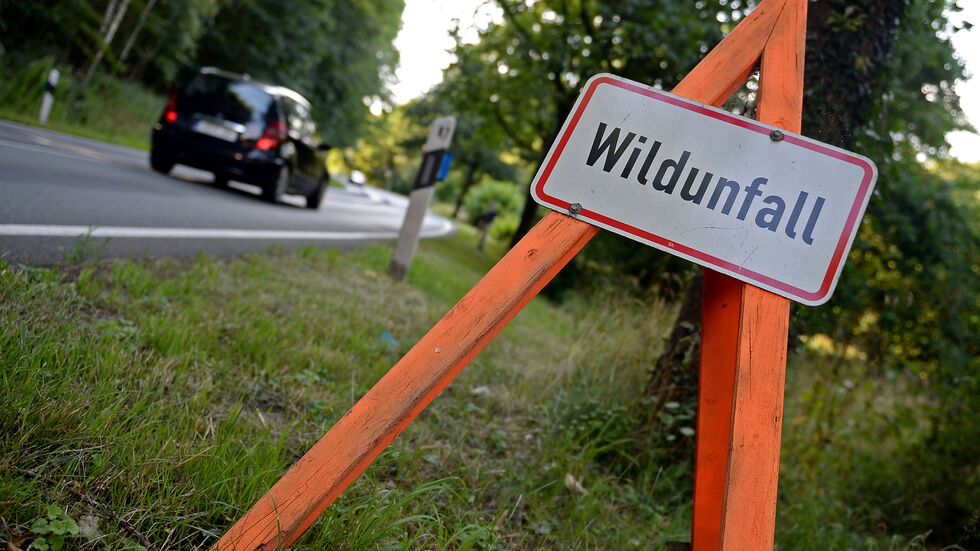 Symbolbild Symbolbild