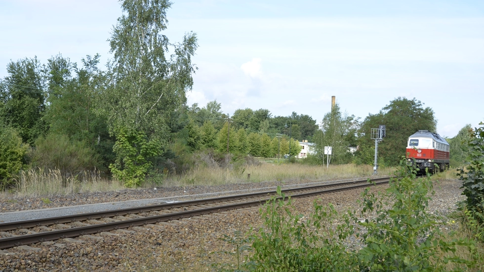 Die eingleisige Strecke Görlitz-Cottbus. Eine Diesellok ("Ludmilla") auf dem Weg nach Weißwasser.