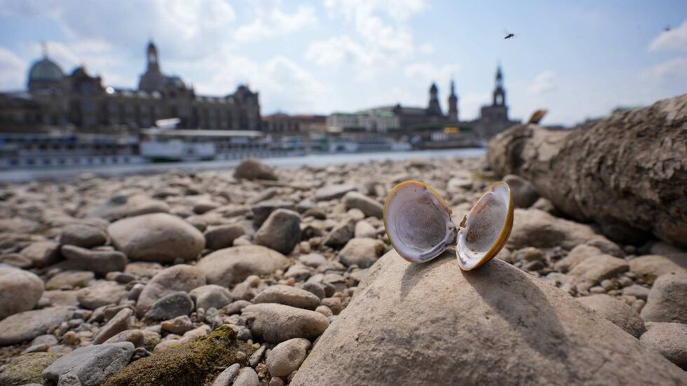 Die Sommer in Dresden werden immer mediterraner, doch die Stadt braucht den Regen Die Sommer in Dresden werden immer mediterraner, doch die Stadt braucht den Regen