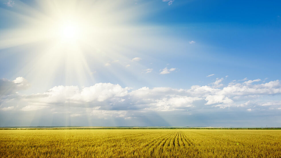 In Sachsen war es 2022 ungewöhnlich warm und sonnig. (Symbolbild)