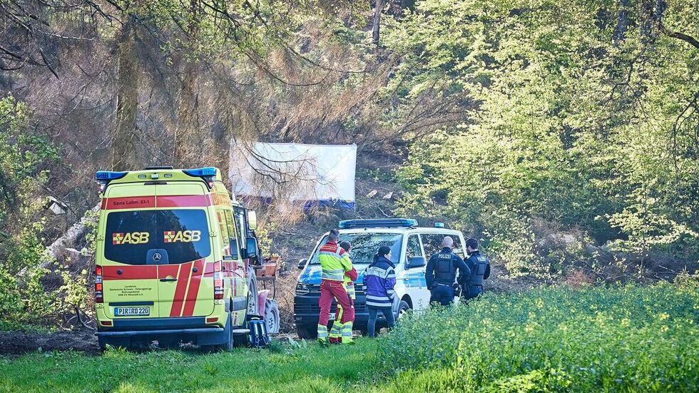 In diesem Waldstück in Hohnstein, Ortsteil Hohburkersdorf, kam es zu dem tragischen Unglück.