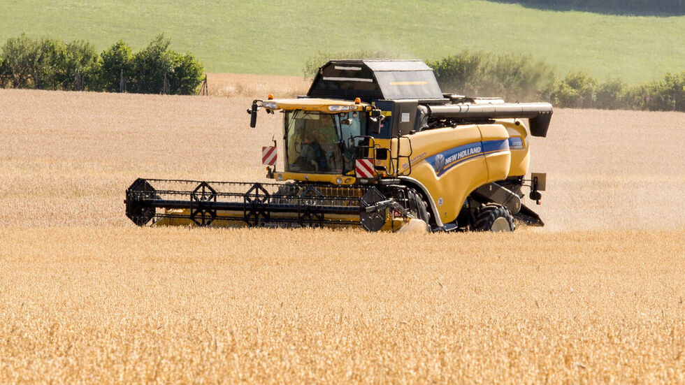 In Ansprung wird derzeit der Hafer geerntet.