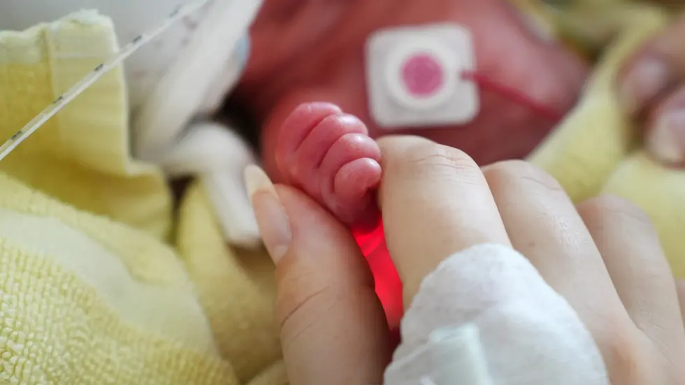 Eine kleine Hand, ein großes Familienglück: Im Klinikum Chemnitz sind am Montag Vierlinge zur Welt gekommen. Das Bild zeigt die Hand eines der vier Brüder und die Hand der Mutter.