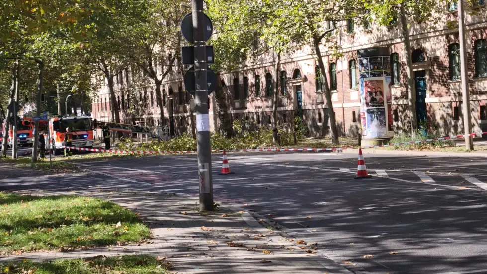 Ganze fünf Fahrzeuge waren für einen Ast im Einsatz.