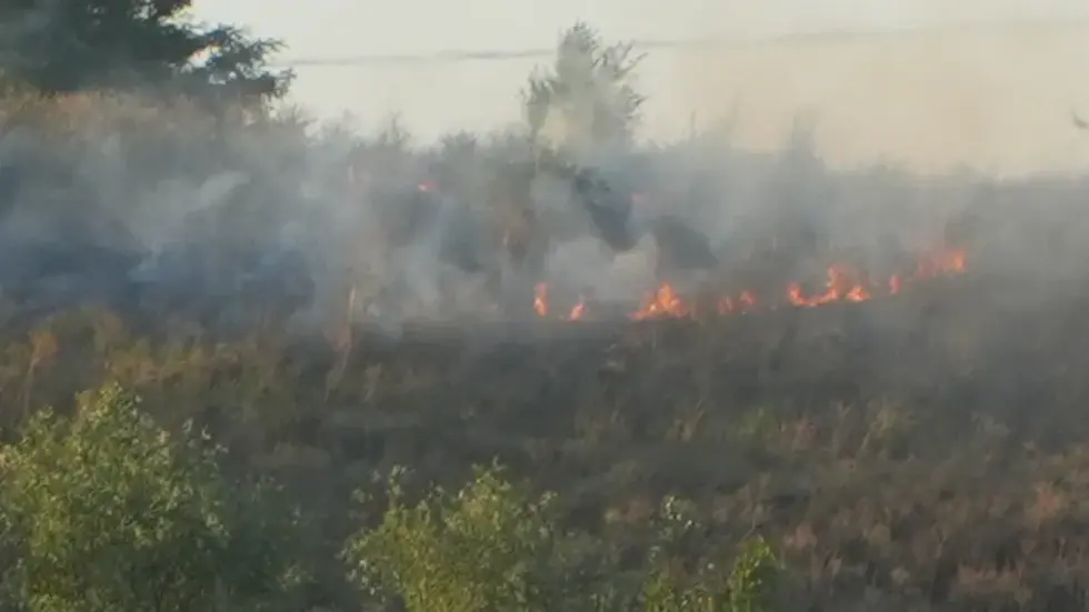 Feuerwehrleute beim Löschen. Feuerwehrleute beim Löschen.