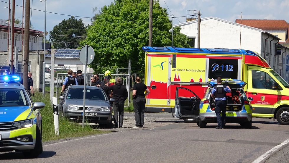 Bei einem Tiger-Ausbruch ist ein Mann schwer verletzt worden.