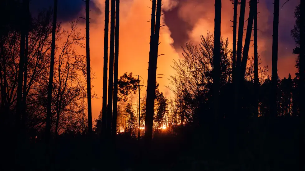 Die Flammen erfassten in kurzer Zeit eine Fläche von 100 Hektar Wald. 