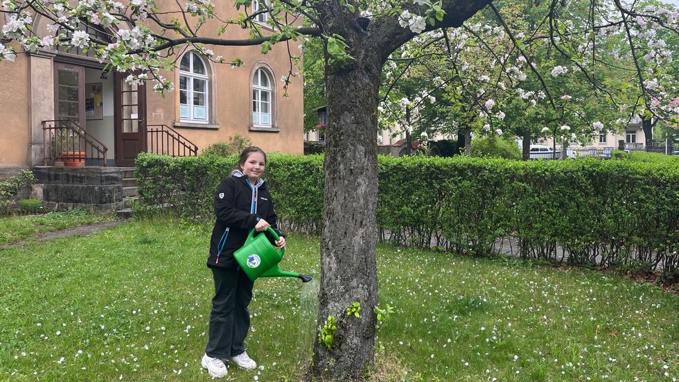 Die neunjährige Miltrid gießt in der Aktion den Apfelbaum im Kirchgarten der Versöhnungskirche Blasewitz