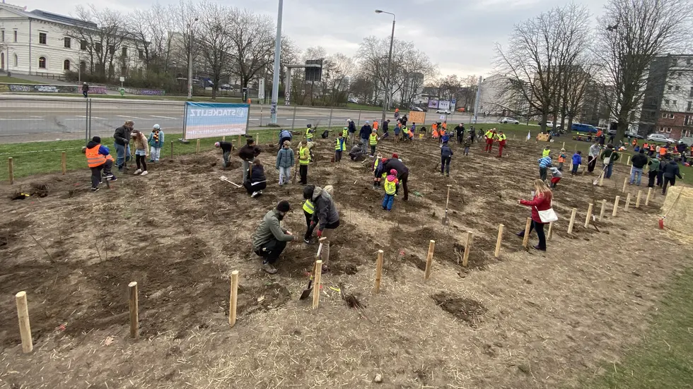 Die Schüler arbeiten gemeinsam mit ihren Eltern, Lehrkräften, Freunden und Mitarbeitern des Amts für Stadtgrün und Gewässer am entstehenden Mikrowald.
