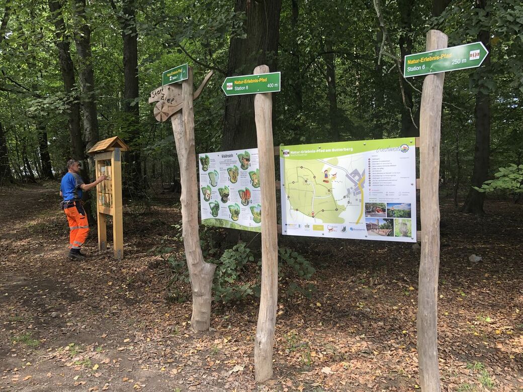 Ein möglicher Start- und Zielpunkt ist am Parkplatz am Fuße des Butterberges. Alternativ kann auch auf dem Butterberg losgewandert werden.
