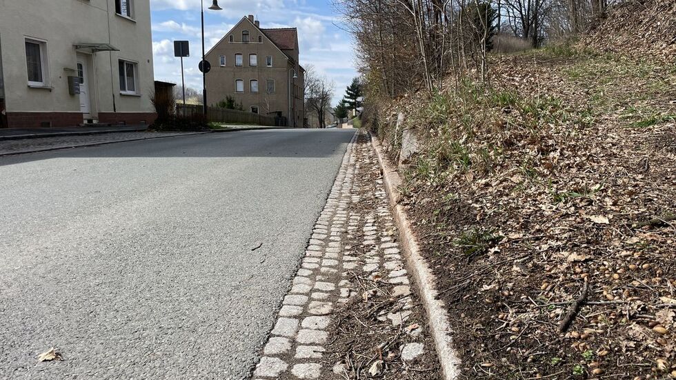 Vor allem Straßenränder sollen vom Müll befreit werden.