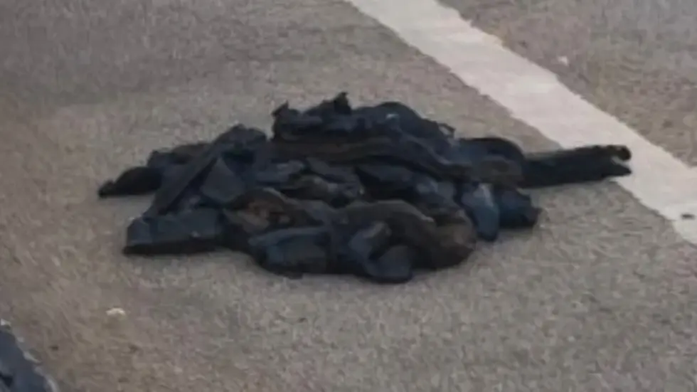 Unter anderem diese klebrigen Klumpen werden aktuell genauer unter die Lupe genommen.