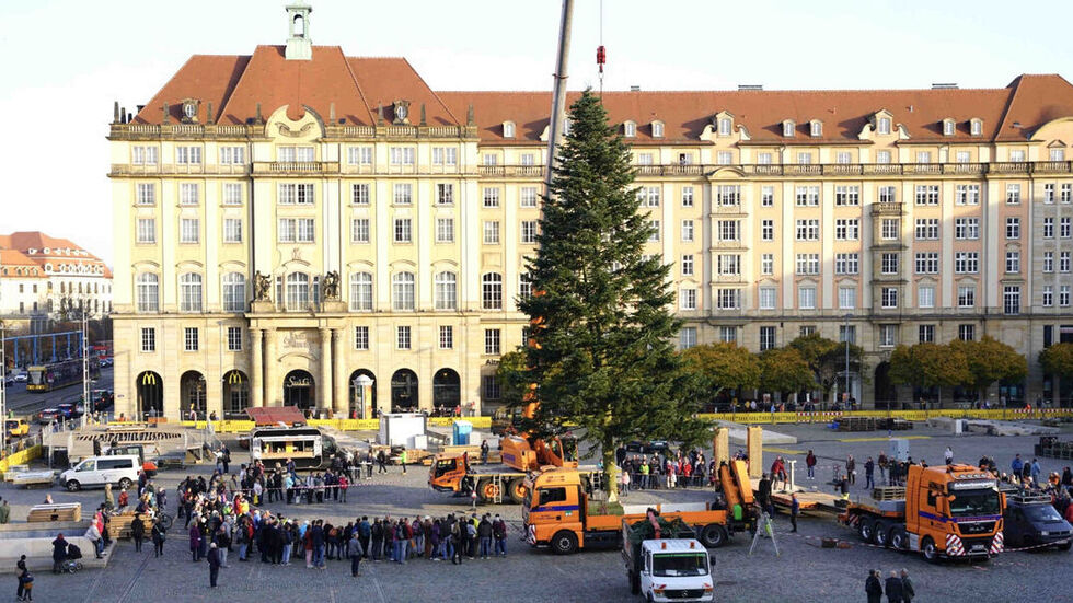 Die Ankunft des Striezelbaumes wird jedes Jahr von Schaulustigen begleitet. (Archivbild) 