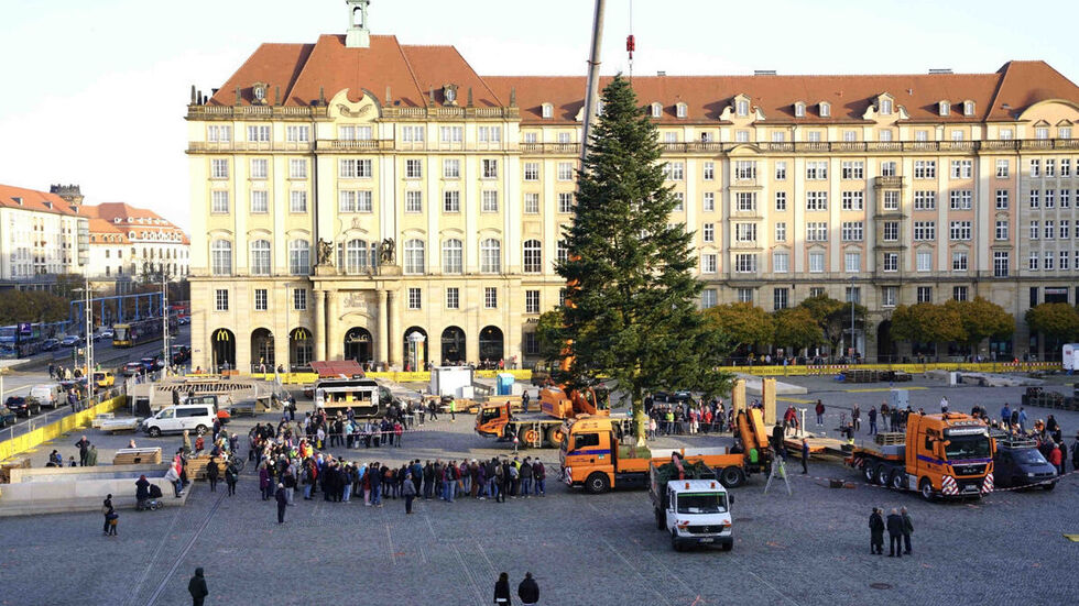 Wie im vergangenen Jahr können Schaulustige beim Aufbau des Striezelbaumes auf dem Altmarkt mit dabei sein. (Archivbild)