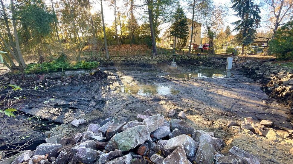 Die Teichsanierung wurde auch durch private Spenden möglich. 